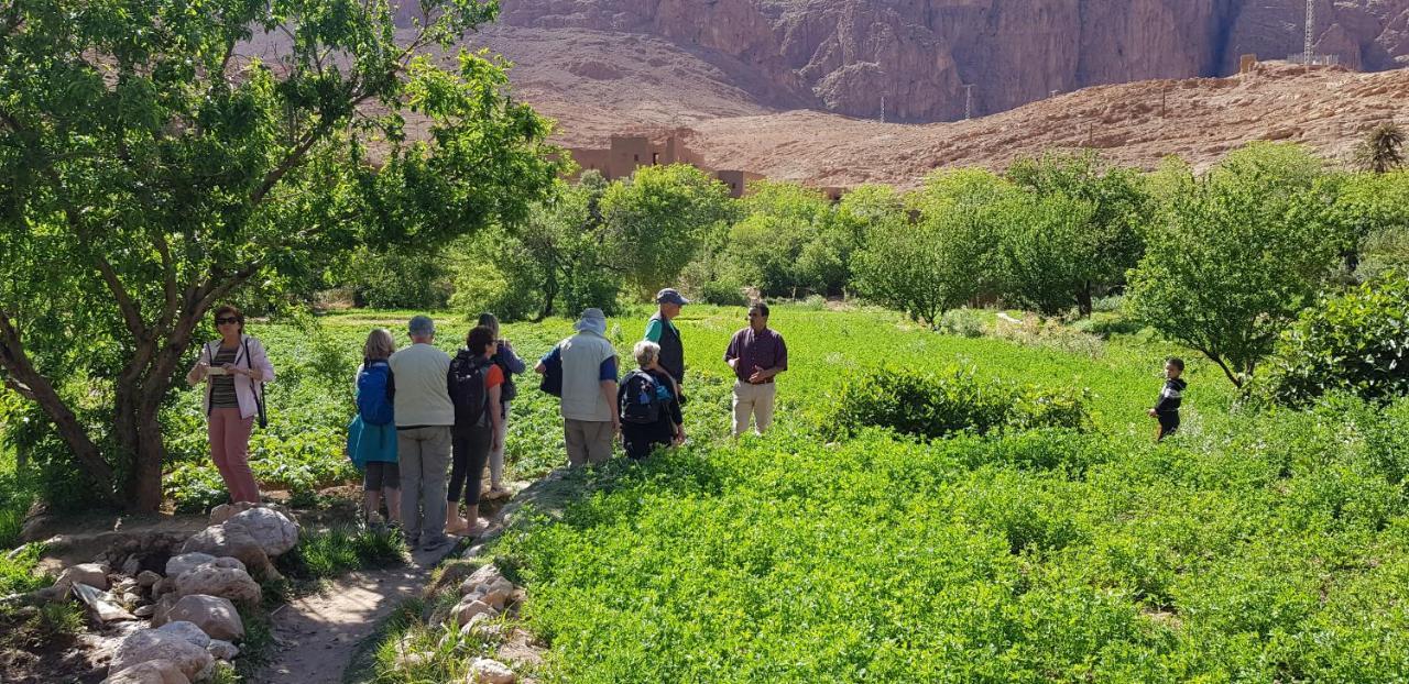 La Petite Gorge, Hotel & Restaurant Todra Gorge タンギール エクステリア 写真